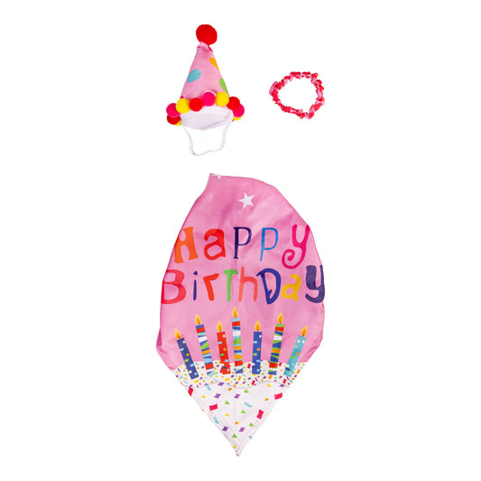 Giddy the Goose Outfit | Birthday Girl